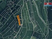 Prodej lesa, Lhota u Vsetína, 1205 m2