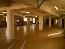 Pronájem výrobních prostor, Hodonín, Bratislavská, 2800 m2