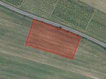 Prodej zemědělské půdy, Nové Město nad Metují, 13945 m2