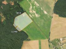 Prodej trvalého travního porostu, Arnoltice, 13385 m2