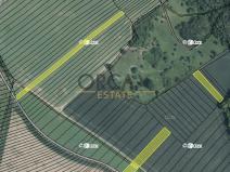 Prodej zemědělské půdy, Radostice, 2372 m2