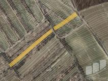 Prodej zemědělské půdy, Archlebov, 2273 m2