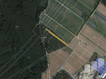 Prodej zemědělské půdy, Moravský Písek, 7252 m2