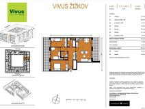 Prodej bytu 4+kk, Praha - Žižkov, Hartigova, 89 m2