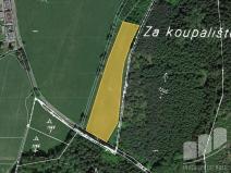 Prodej trvalého travního porostu, Březová, 6281 m2