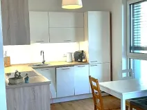 Pronájem bytu 1+kk, Liberec, U Nisy, 54 m2