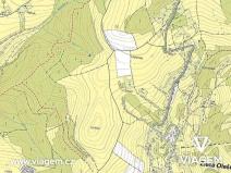 Prodej podílu lesa, Zlatá Olešnice, 569 m2
