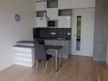 Pronájem bytu 1+kk, Praha - Hodkovičky, Šífařská, 26 m2