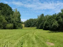 Prodej louky, Červená Řečice, 3840 m2