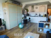 Pronájem bytu 1+kk, Frýdlant nad Ostravicí, 57 m2