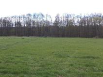 Prodej pole, Tachov, 45730 m2
