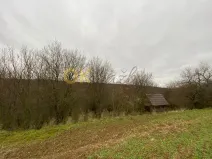 Dražba lesa, Šarovy, 11619 m2