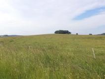 Dražba pole, Horní Štěpánov, 16122 m2