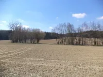 Dražba louky, Pec, 5703 m2