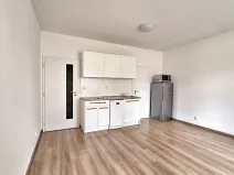 Pronájem bytu 1+kk, Praha - Bubeneč, U zeměpisného ústavu, 26 m2