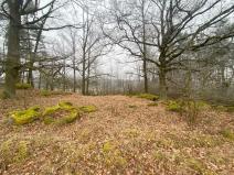 Prodej pole, Slatina, 21641 m2
