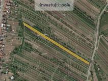 Prodej pole, Kobylí, 2490 m2