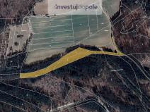 Prodej lesa, Volfířov - Brandlín, 13682 m2