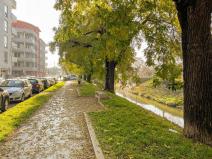 Pronájem bytu 1+kk, Brno, Zvěřinova, 16 m2