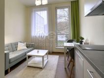 Pronájem bytu 1+kk, Sázava, Poznaňská, 17 m2