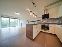 Pronájem bytu 3+kk, Plzeň, Lidická, 97 m2
