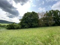 Prodej louky, Vranová Lhota, 502 m2