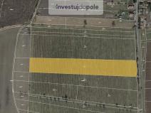 Prodej pozemku, Liběšice - Soběnice, 6199 m2