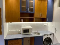 Pronájem bytu 1+1, Brno, Mendlovo náměstí, 25 m2
