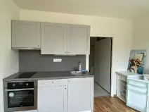 Pronájem bytu 1+1, Praha - Žižkov, Pod lipami, 38 m2