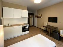 Pronájem bytu 1+kk, Brno, Francouzská, 22 m2