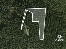 Prodej podílu lesa, Morávka, 4190 m2