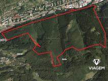 Prodej podílu lesa, Vsetín, 6855 m2