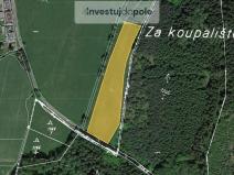 Prodej louky, Meziměstí - Březová, 6281 m2