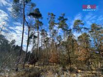 Prodej lesa, Všehrdy, 3720 m2