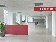 Pronájem obchodního prostoru, Brno, Zábrdovická, 530 m2
