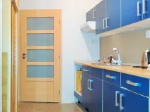 Pronájem bytu 1+kk, Praha - Nusle, Doudlebská, 32 m2