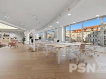 Pronájem kanceláře, Praha - Nové Město, Václavské náměstí, 475 m2