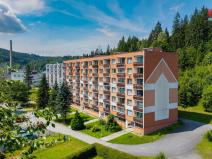 Prodej bytu 1+kk, Jiřetín pod Bukovou, 21 m2
