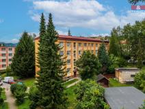 Prodej bytu 2+1, Děčín - Děčín II-Nové Město, Kamenická, 50 m2