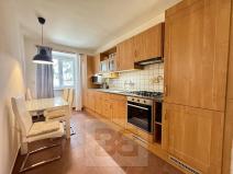 Pronájem bytu 1+1, Brno, Merhautova, 50 m2