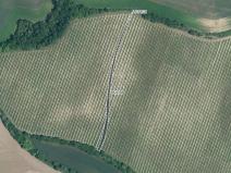 Prodej podílu sadu/vinice, Vracov, 613 m2