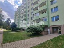 Prodej bytu 2+1, Vyškov - Vyškov-Předměstí, Dukelská, 54 m2