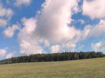 Prodej pole, Heřmánkovice, 60544 m2