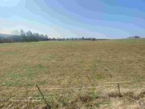 Prodej pozemku, Olešnice, 8201 m2