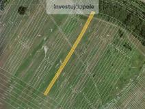 Prodej pole, Mikulčice, 1713 m2