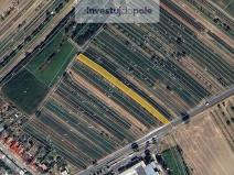 Prodej pozemku, Šardice, 2149 m2