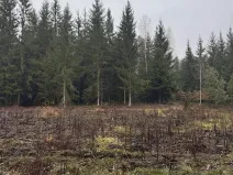 Prodej podílu pozemku, Veliny, 16991 m2