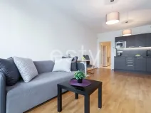 Pronájem bytu 1+kk, Praha - Žižkov, Olšanská, 35 m2