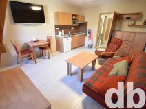 Pronájem bytu 1+kk, Karlovy Vary, Vítězná, 32 m2