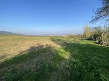 Dražba pole, Víska u Jevíčka, 5681 m2
